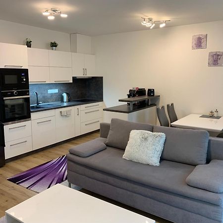 Apartman S Vyhlidkou Horní Maršov Екстериор снимка